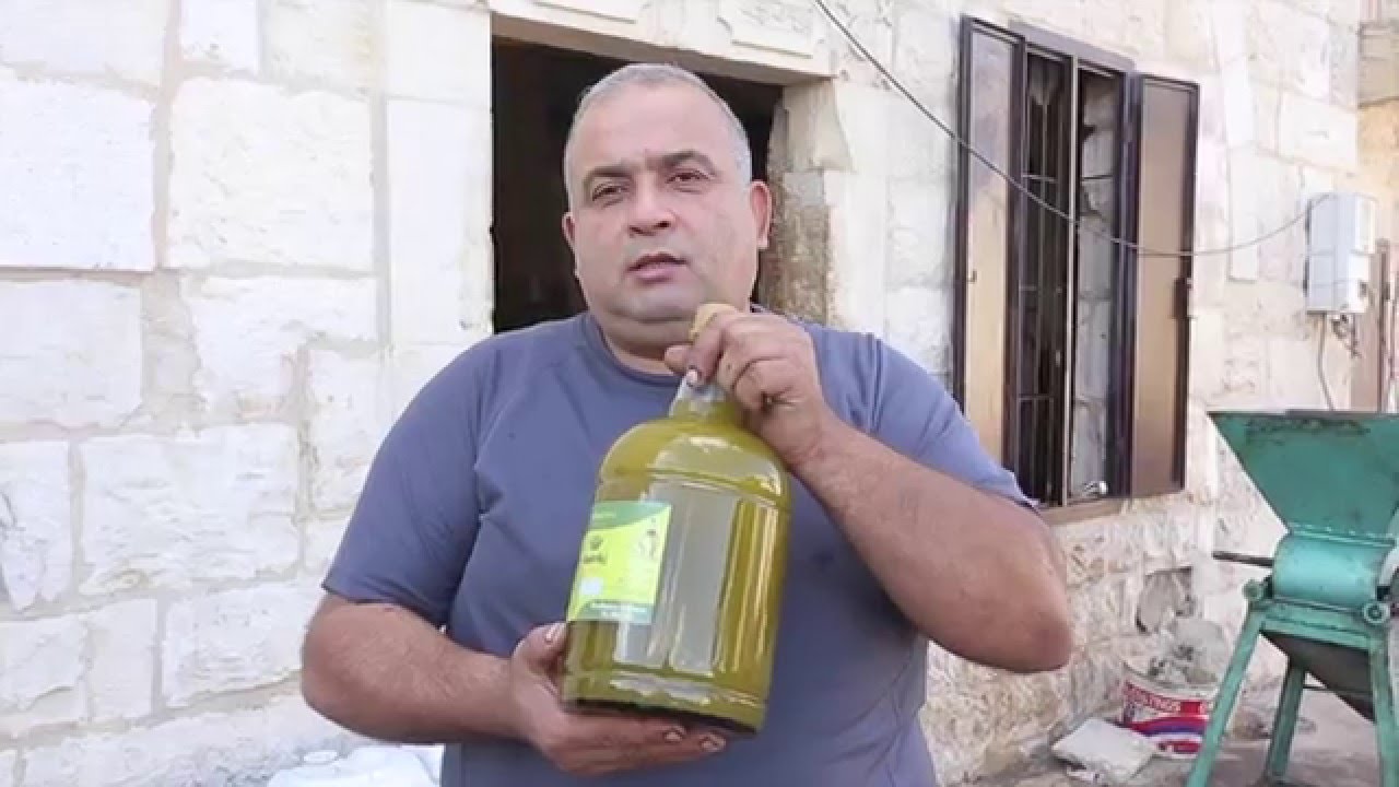 Traditional Olive Oil: How it's Made in Btaaboura el Koura
