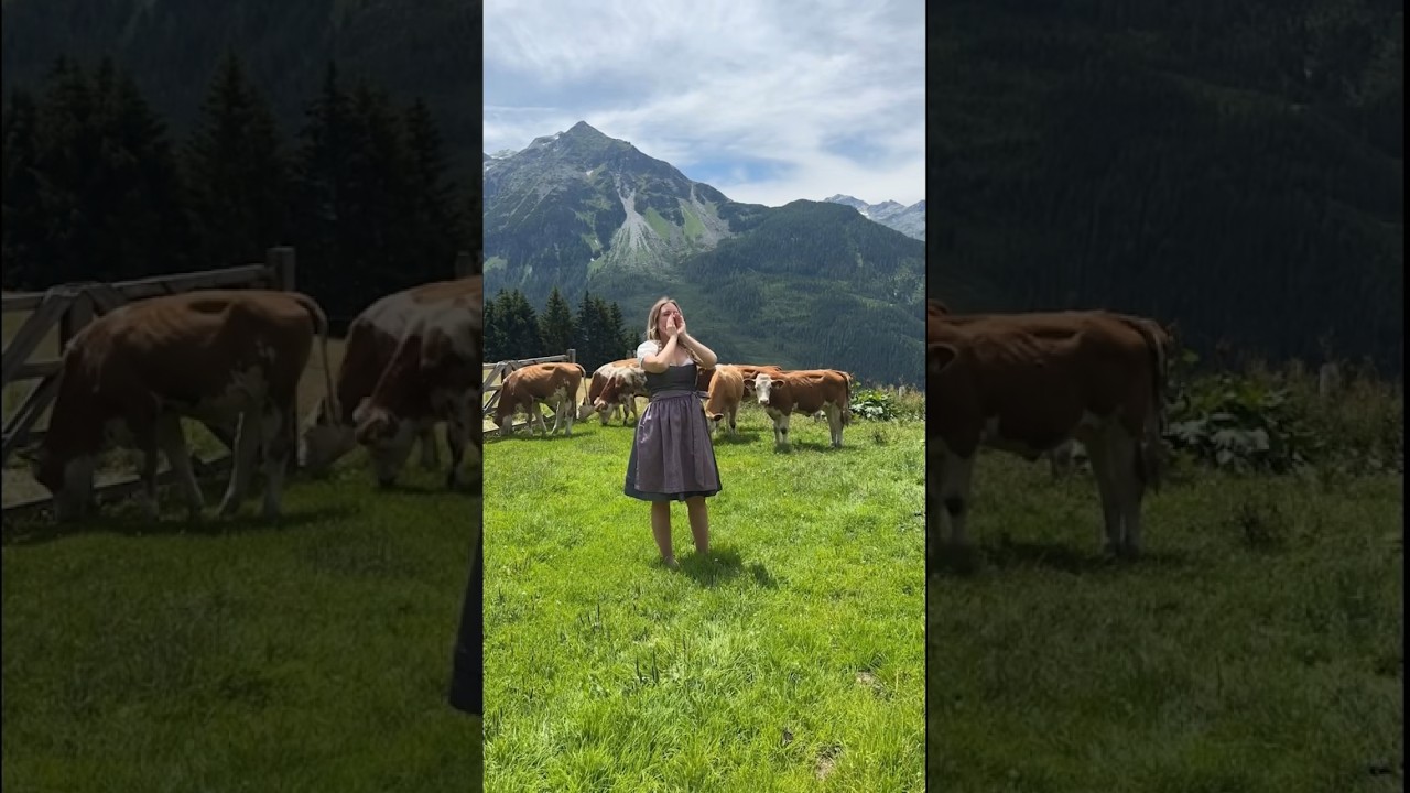In my element ⛰️🐮 #cow #cowlover #yodeling #jodeln
