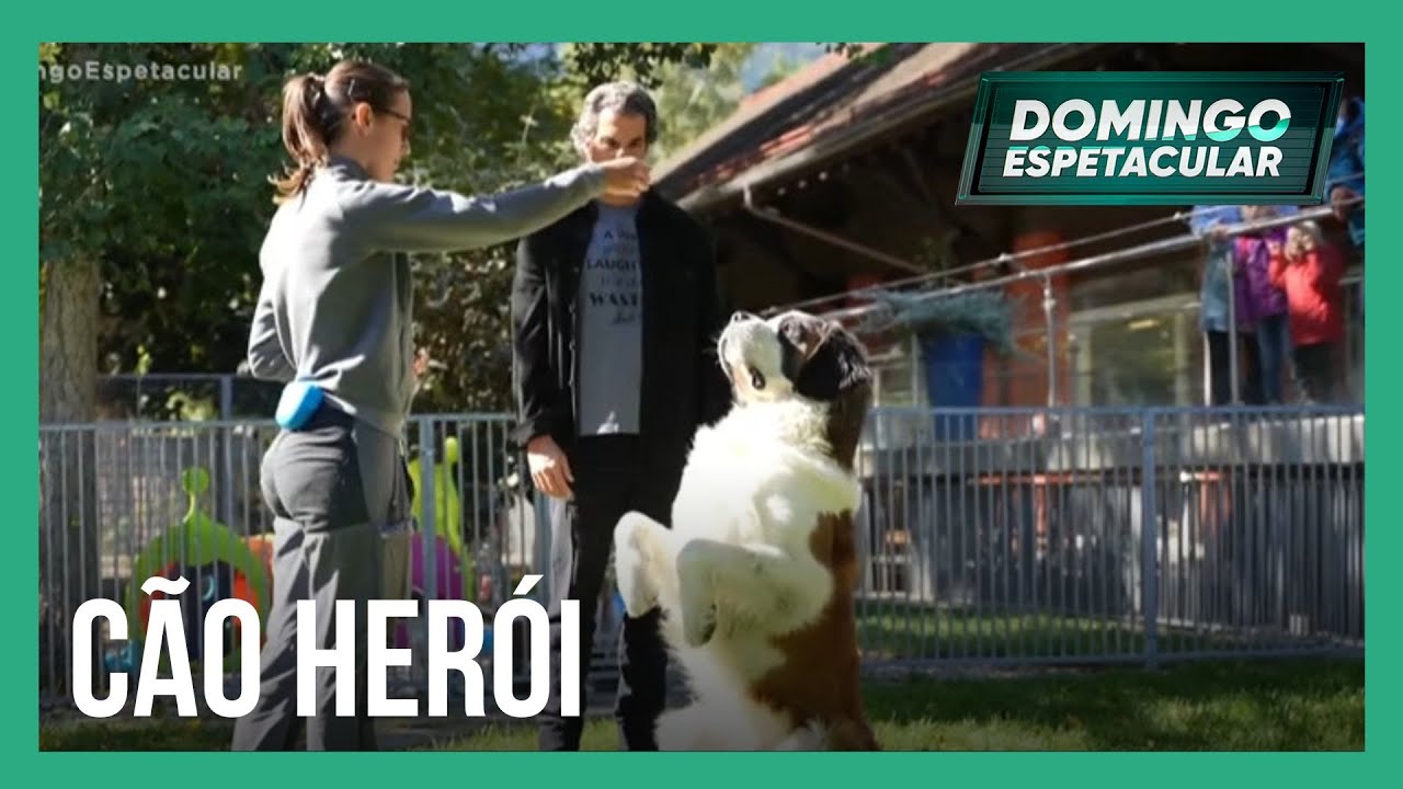 50 por 1: Alvaro Garnero conhece a história heroica do cão São Bernardo em viagem à Suíça