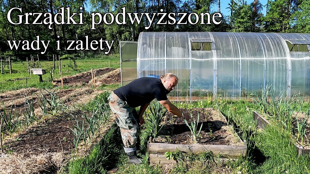 Grządki podwyższone - wady i zalety - Ogrodowe pierdamony 147