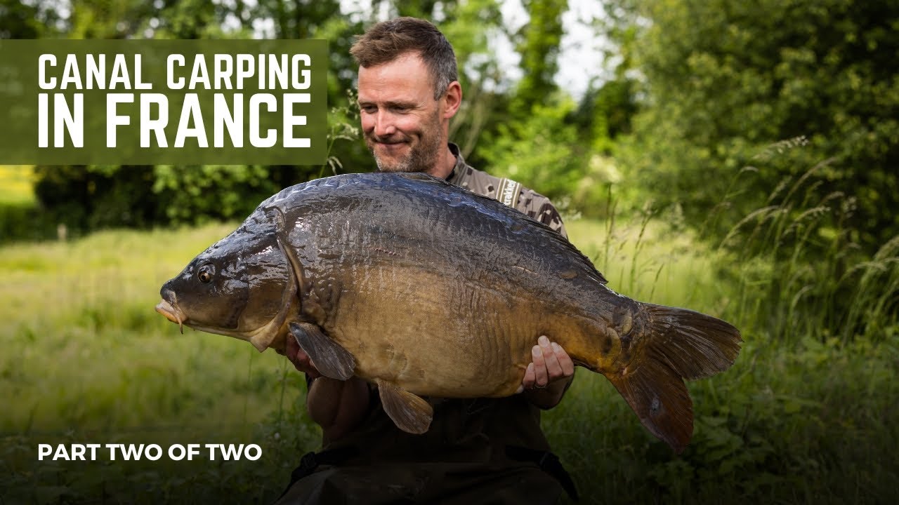 Canal Carping in France | Part 2 of 2 | Extract