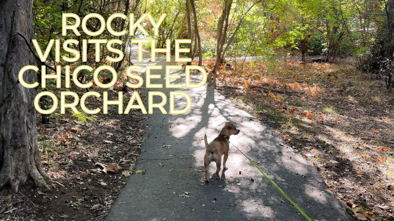 Rocky visits the Chico Seed Orchard