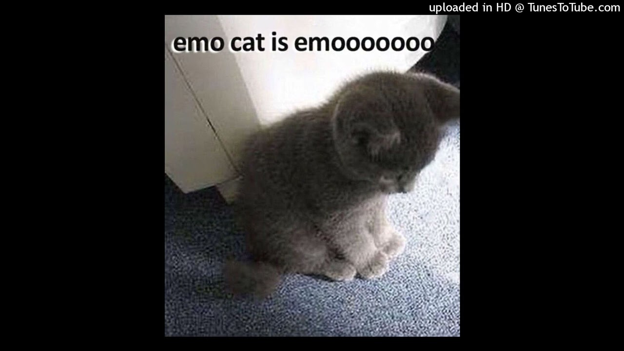 wobble + bounce type beat