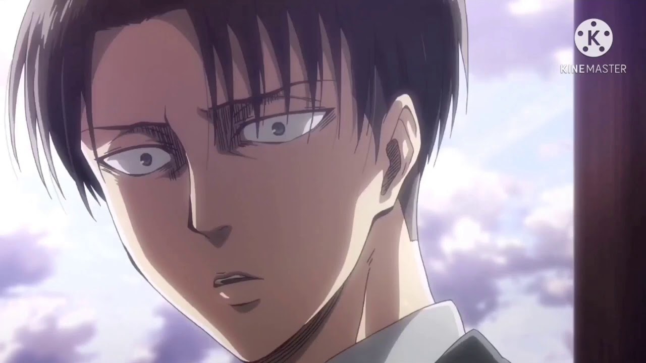 Levi Ackerman x Y/n_Blueberry_eyes pt.3
