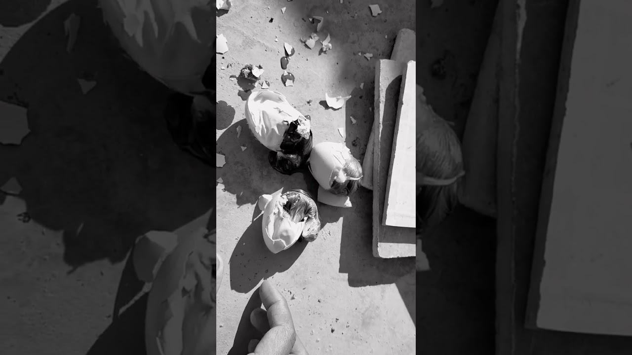 Dead in shell Chicks 🥺 #died #subseribe #aseel #aseelmurga #aseellovers #heeraaseel #viral #shorts