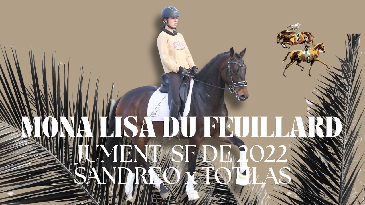 MONA LISA DU FEUILLARD, Jument Selle-Français de 2022 par SANDREO x TOTILAS