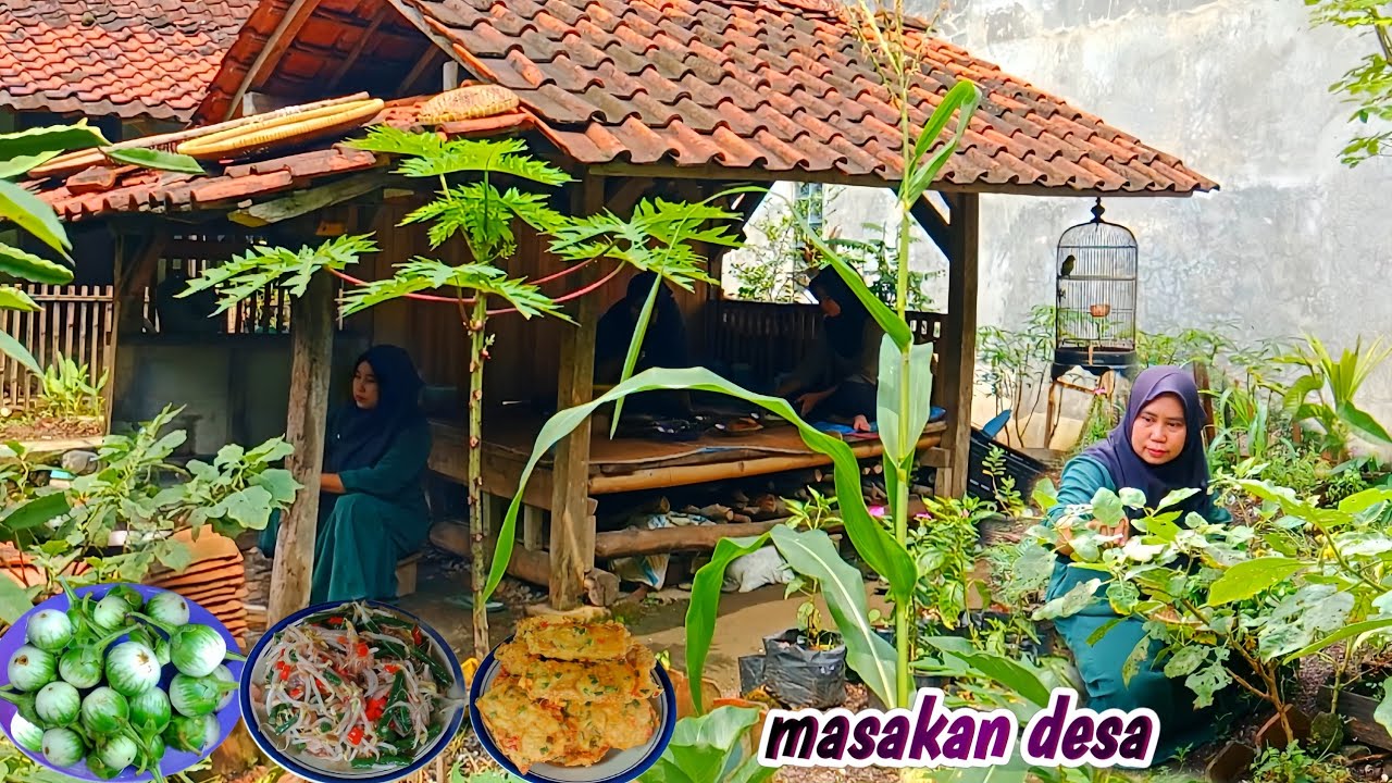 Panen Terong Lalap | Masak Sayur Urap Sambal Embel, Tempe Mendoan, Ikan Asin, Sambal Terasi  Kemangi