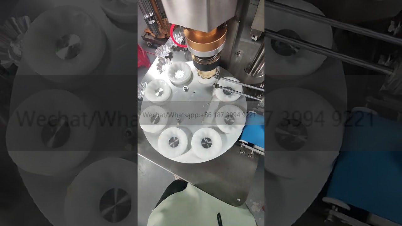 #蛋挞皮机 Automatic Portuguese Egg Tart Shell Making Forming Machine Egg Tart Molding Production Line
