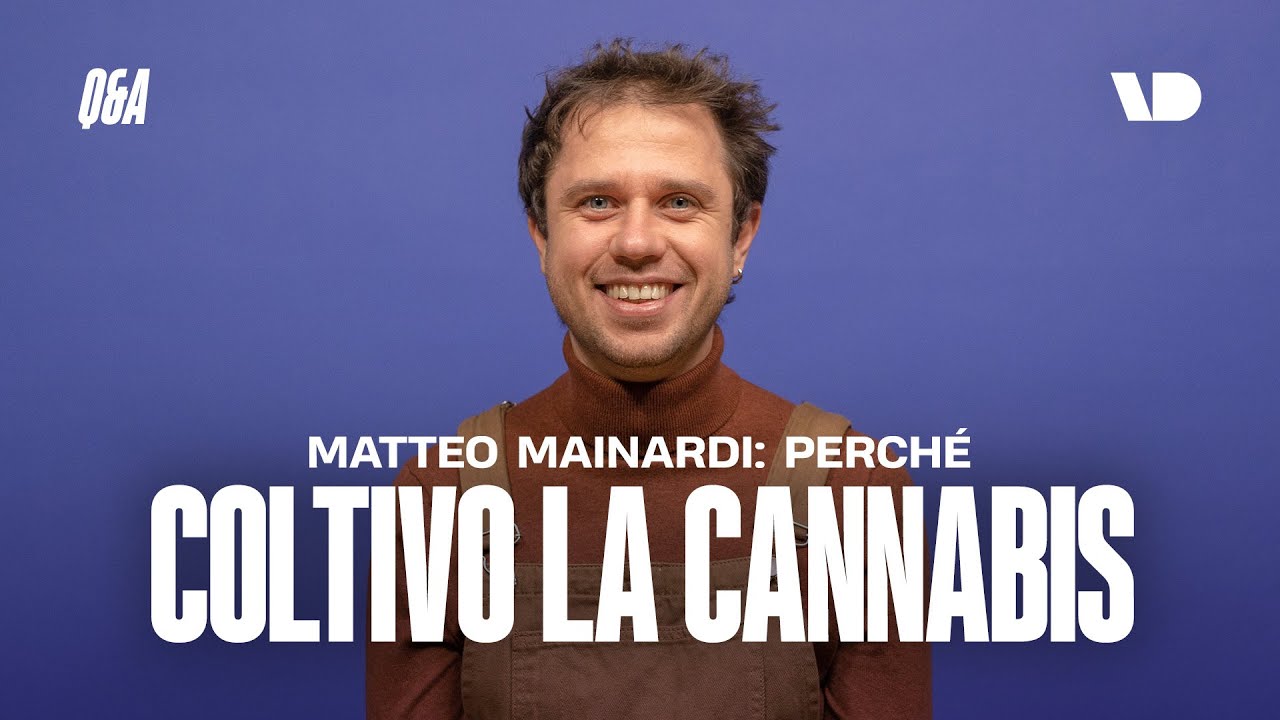 Cannabis a uso personale: ne parliamo con Matteo Mainardi