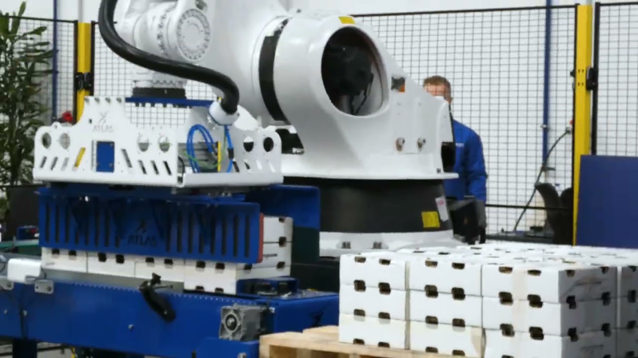 Double case palletizer robot for Peru