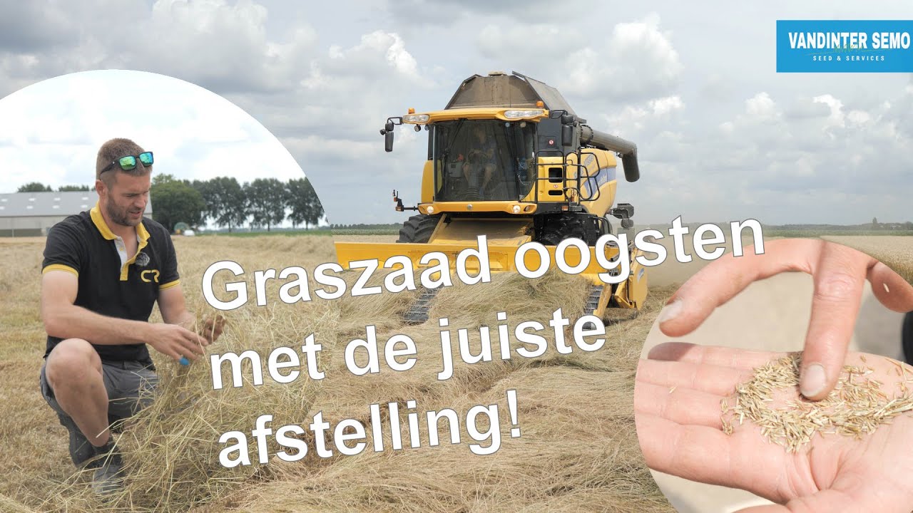 Graszaad oogsten met Lars Kraak