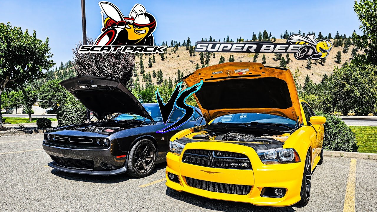 2015 Challenger Scatpack Manual vs 2012 Charger SRT8 SuperBee! (Roll Race!)