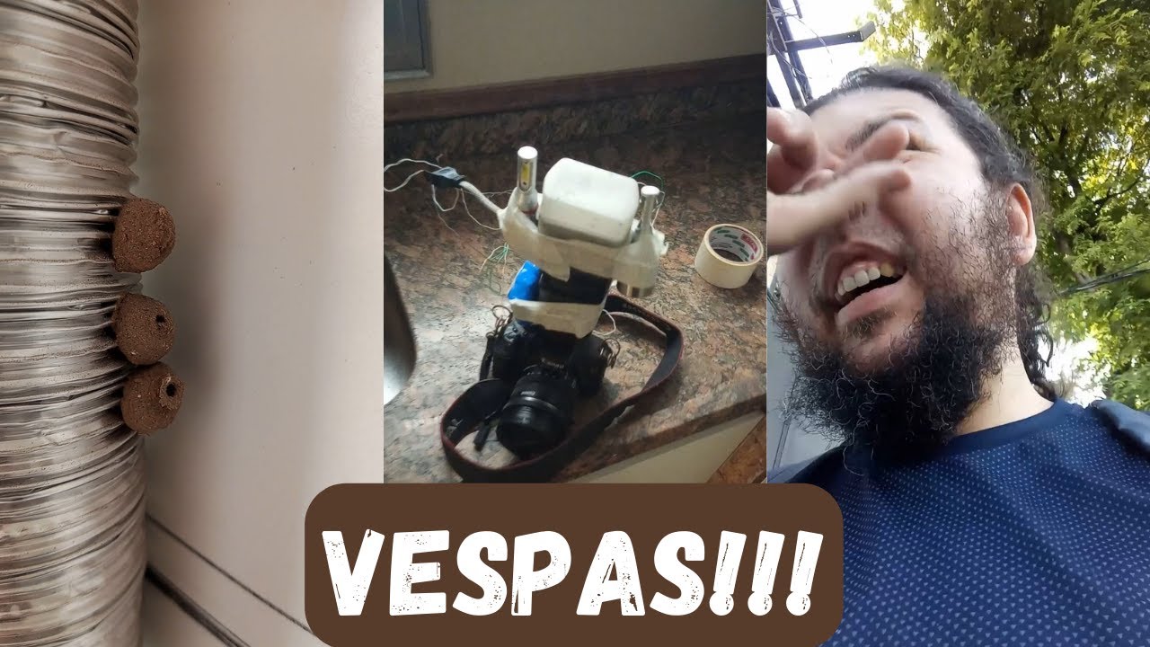 #VLOG93 - Vespas no apartamento 🦟🦟🦟