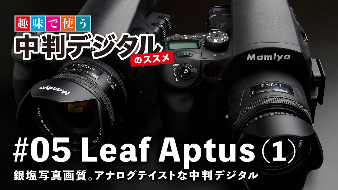 Leaf Aptus（1）銀塩写真画質 / Aptus22 / 趣味で使う！中判デジタルのススメ#05