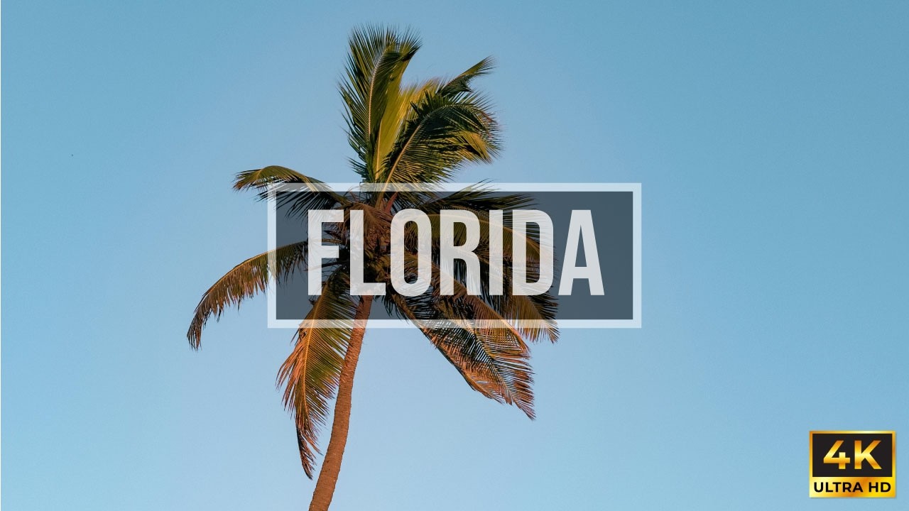 Florida Aerial Drone Views in 4K | Beaches, Coastline & City Skylines