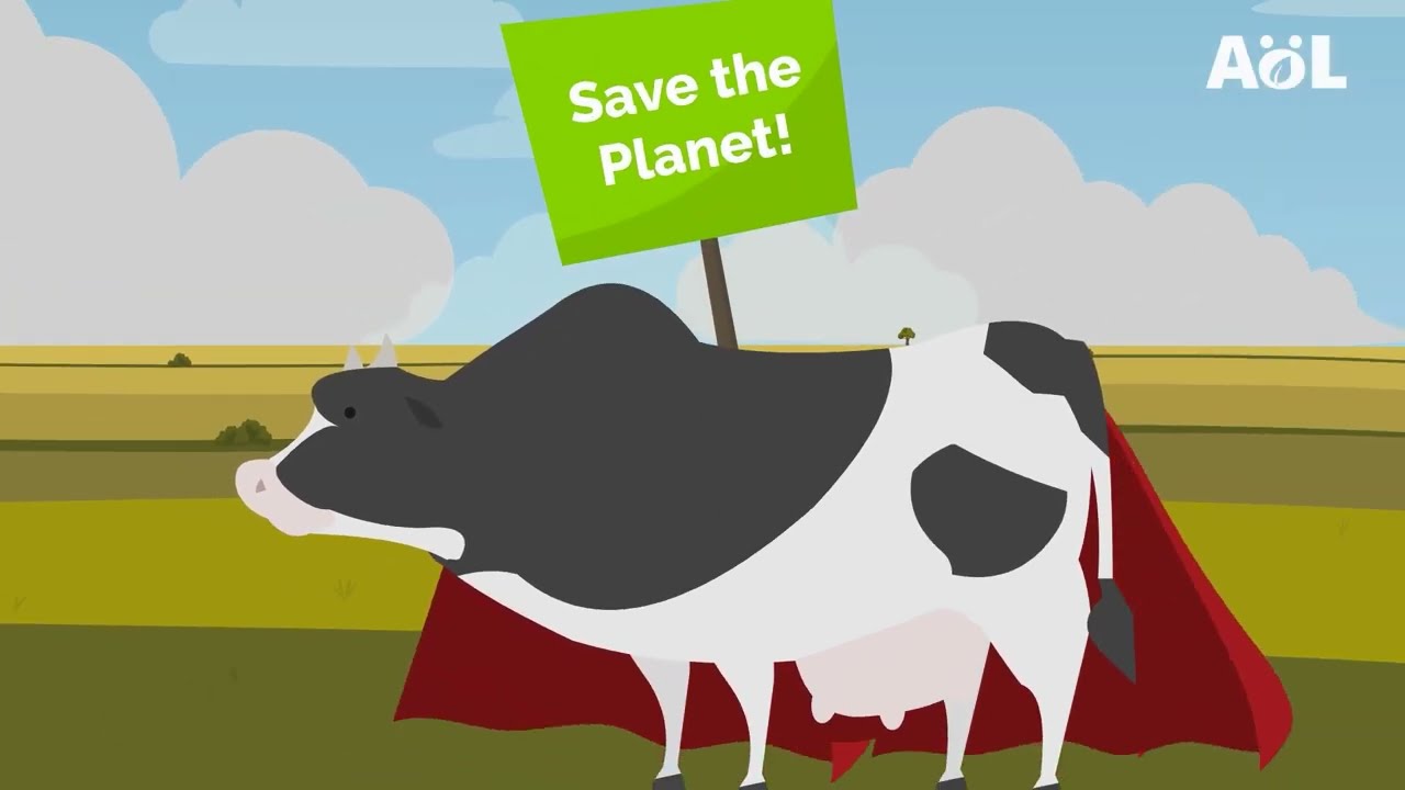 Bio2Go: Kontroverse um Kuh Berta - Bio und Tierhaltung