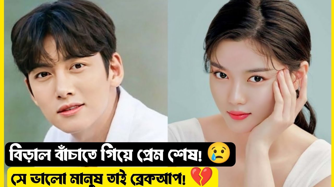 বিড়াল বাঁচাতে গিয়ে ব্রেকআপ! | Movie Explain Bangla | কোরিয়ান রোমান্টিক ড্রামা ফুল গল্প 