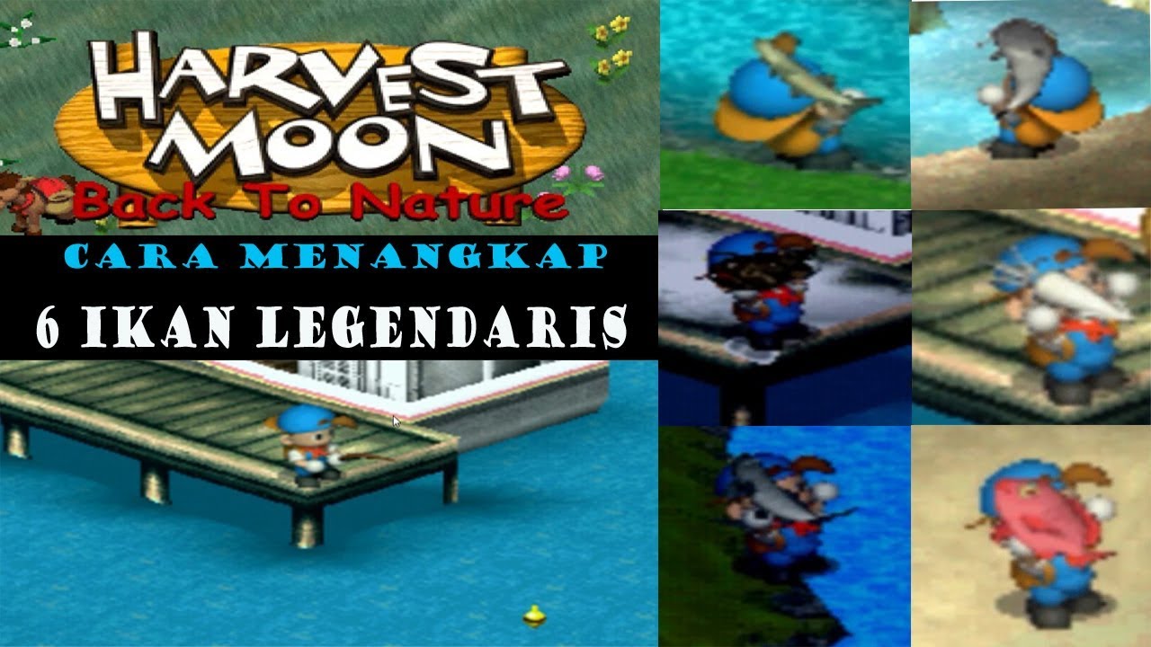 Cara Menangkap 6 Ikan Legendaris Di Harvest Moon Back To Nature