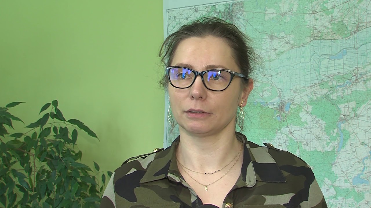 TV ASTA: Wilki pod Chodzieżą