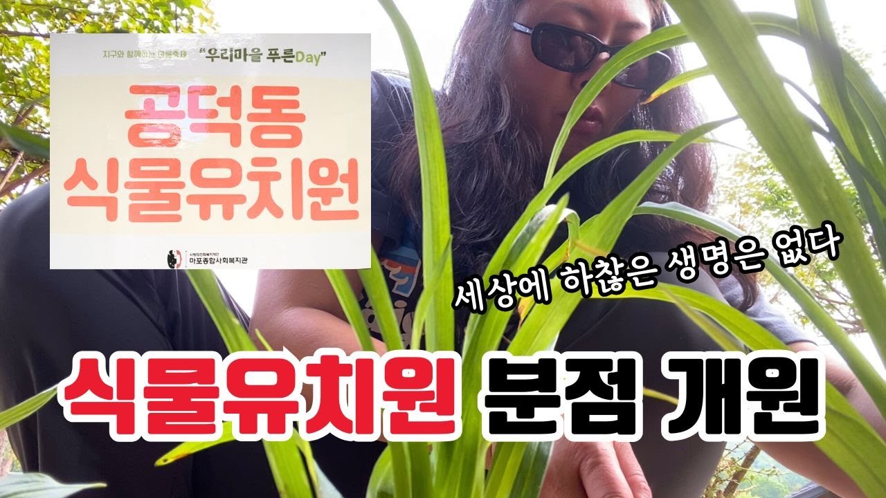 개엄마에 이어 식집사가 되었습니다 | 공덕동 식물유치원에서 열린 거나한 고기먹방