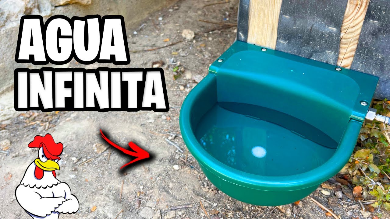 Como Hacer el Mejor BEBEDERO AUTOMÁTICO para GALLINAS! 🐔 AGUA LIMPIA y GRATIS | La Huerta de Ivan