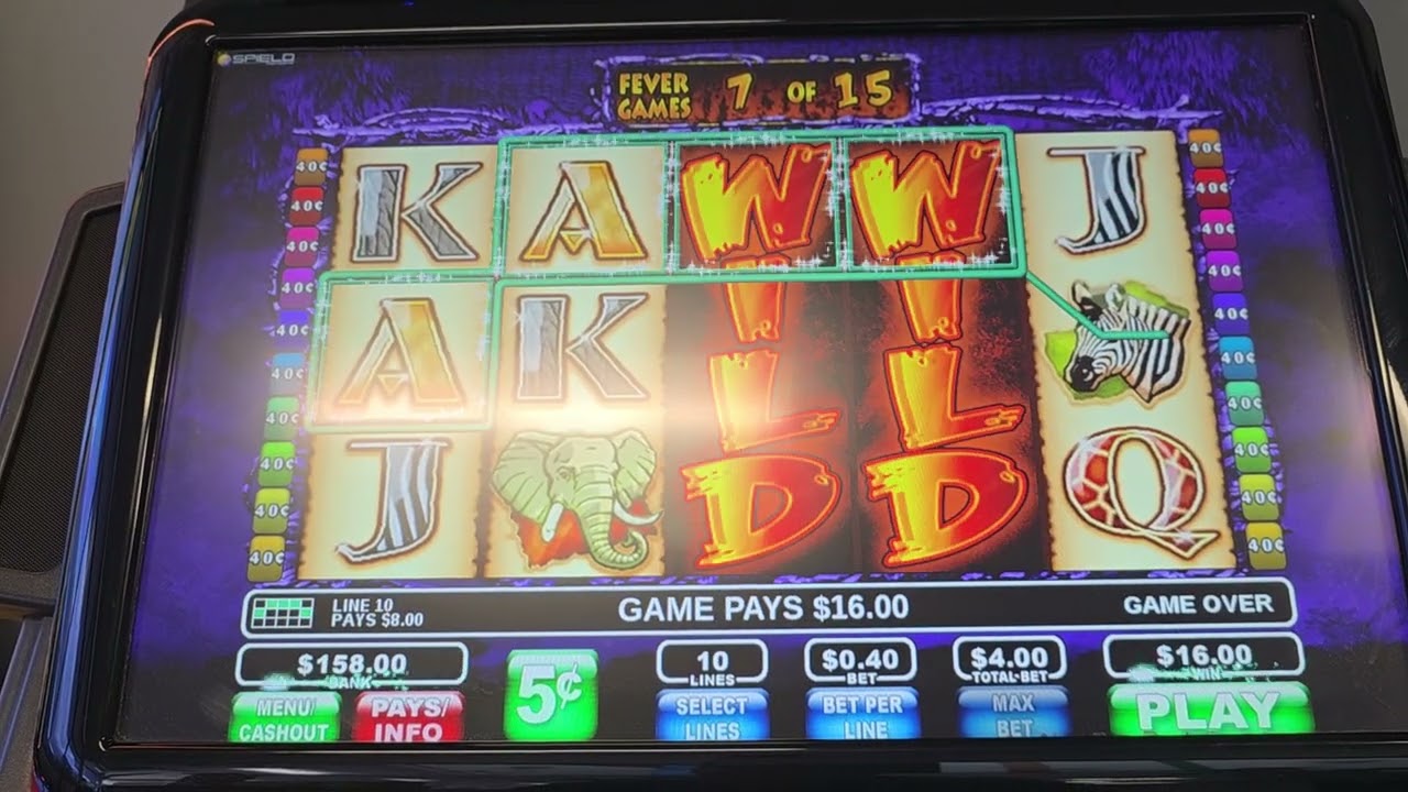 Wild Life - 15 Spins - Decent win