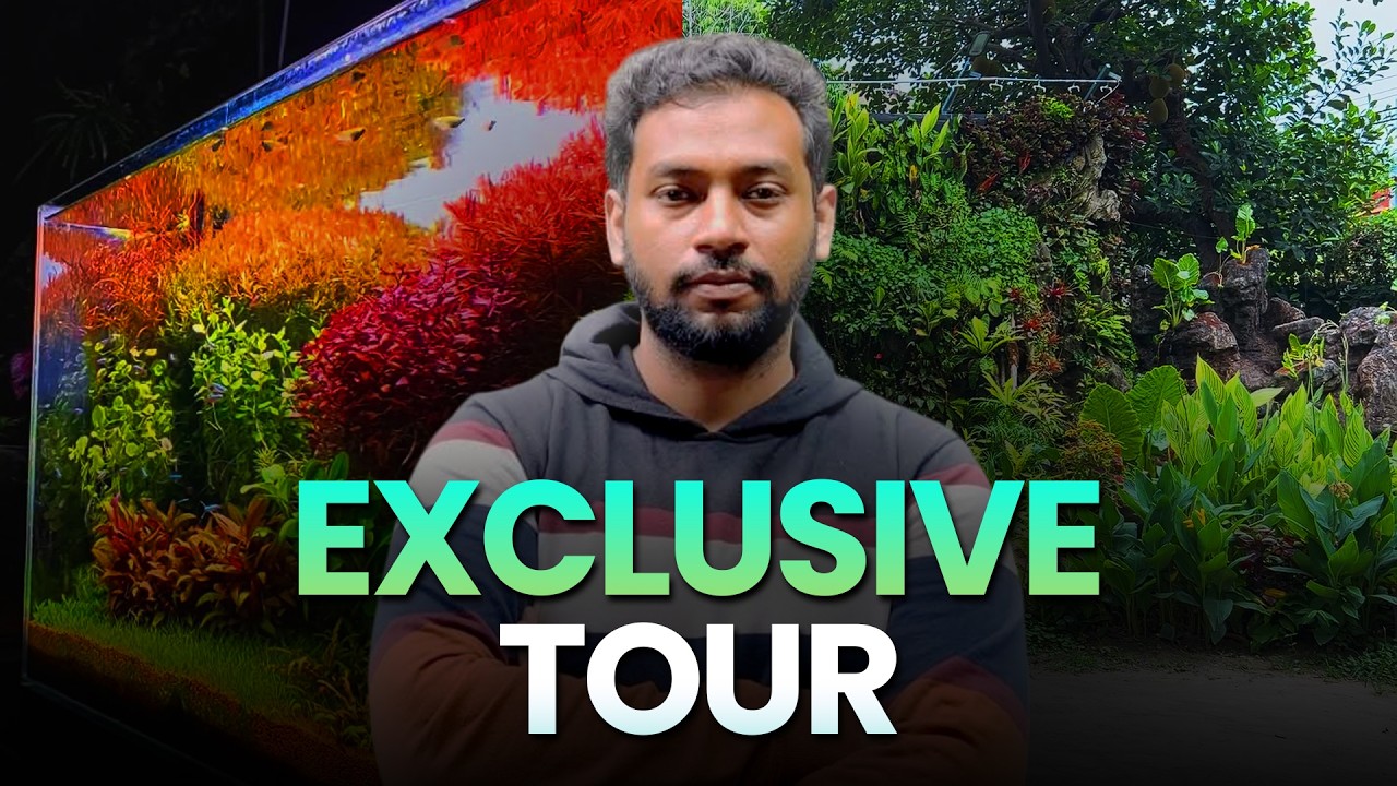 Exclusive Tour! Amartya Ghosh's TiCi Nature Lab | On Location