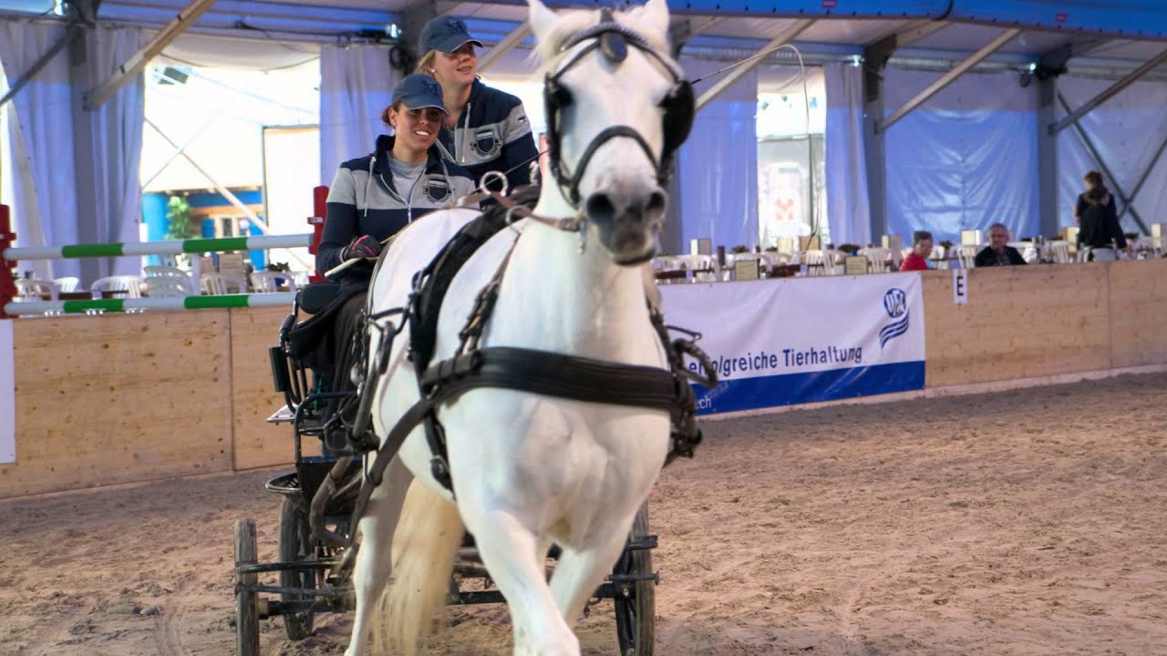 BEA 2015 Lernende Pferdeberufe