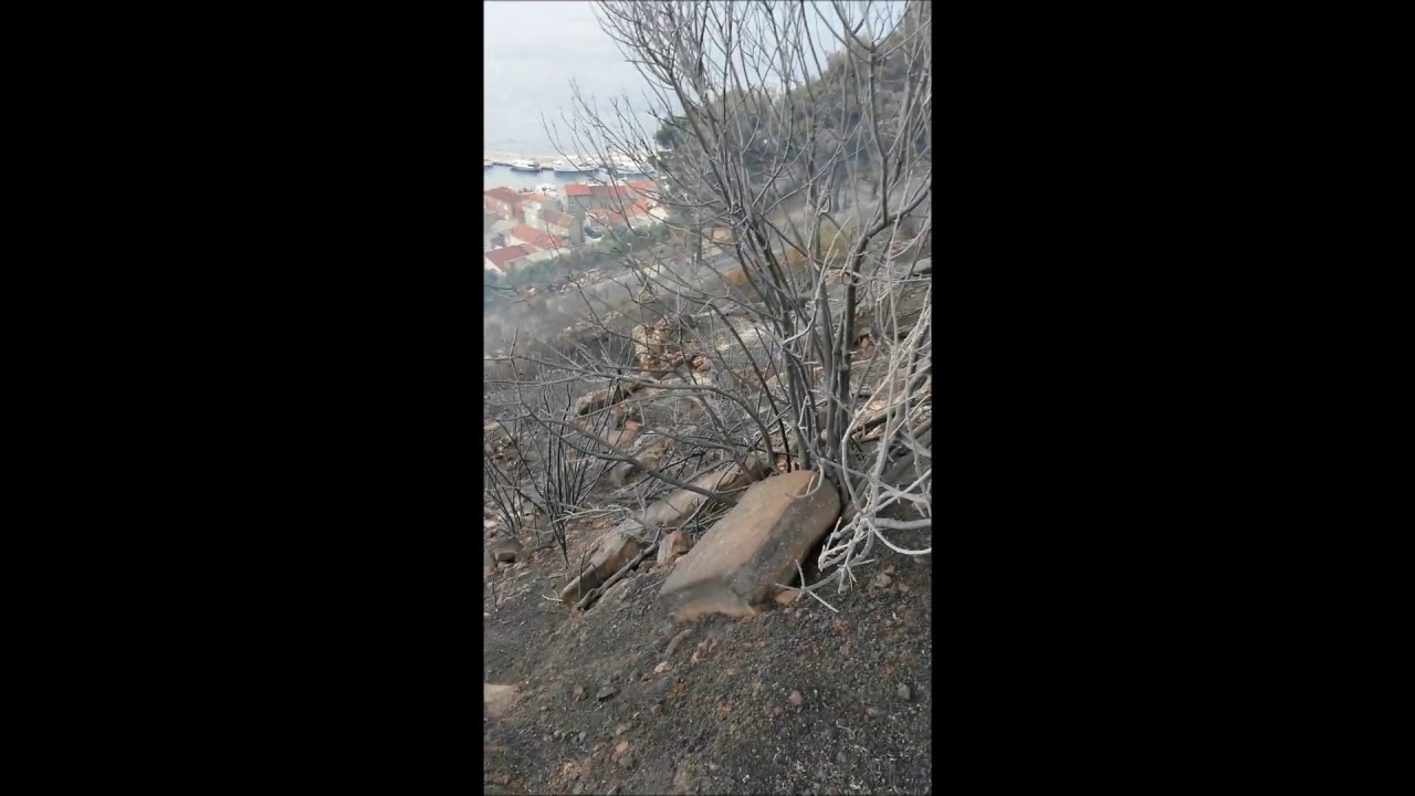 Podgora i Tučepi požar / fire 18./19.6.17.