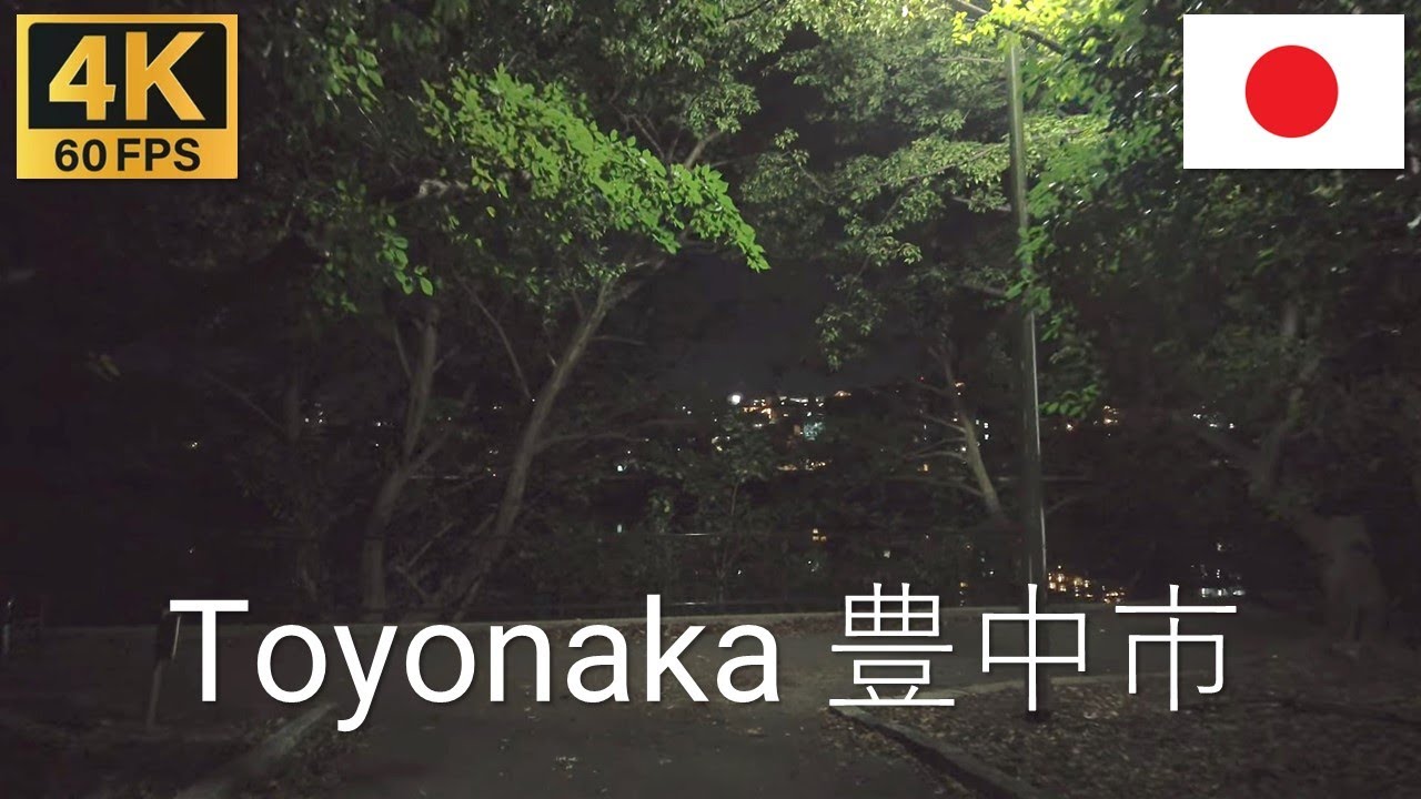 TOYONAKA 豊中市 Japan 🇯🇵  | 2022 | 4K·60p | How Scary are Japanese Parks at Night? | 豊中服部緑地公園