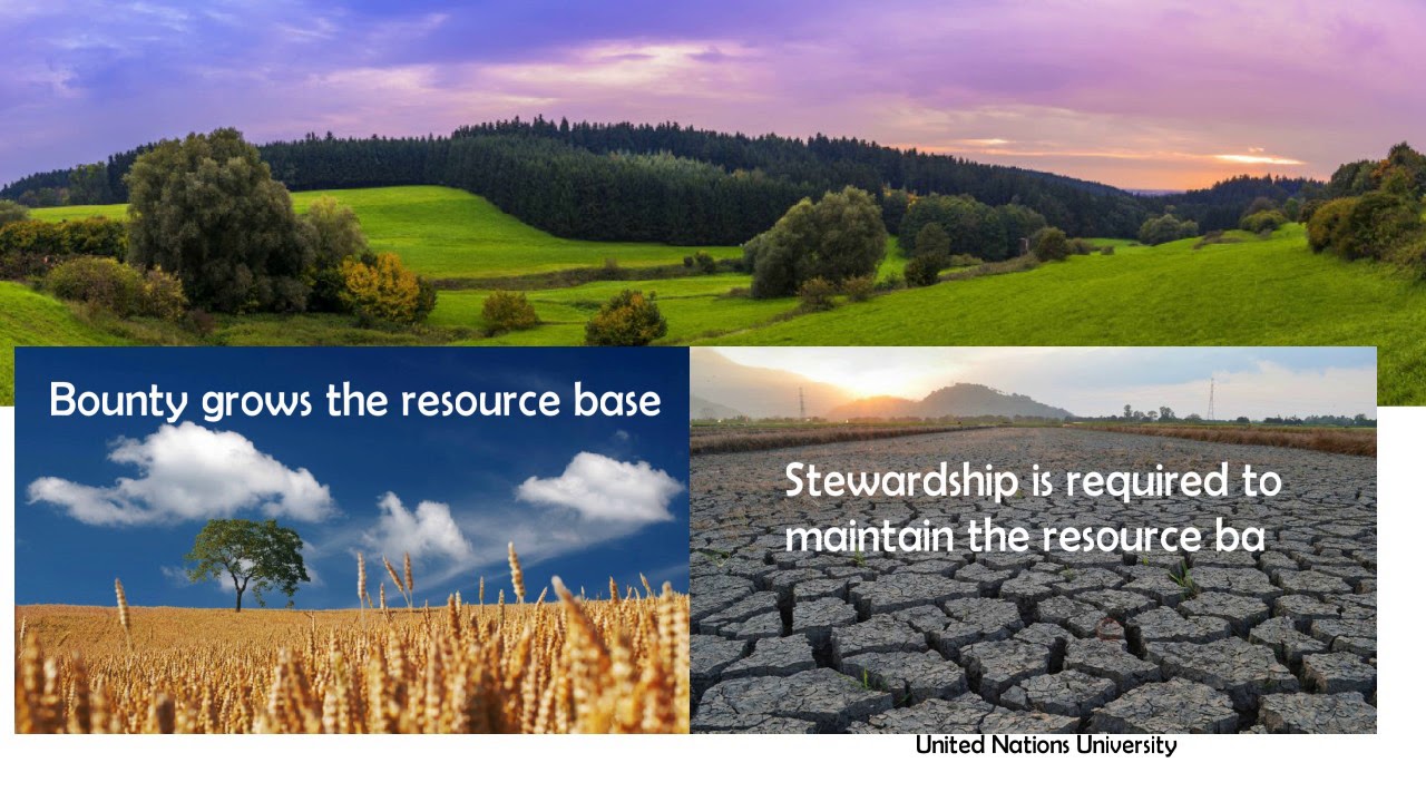 Ten Biblical Principles for Agriculture