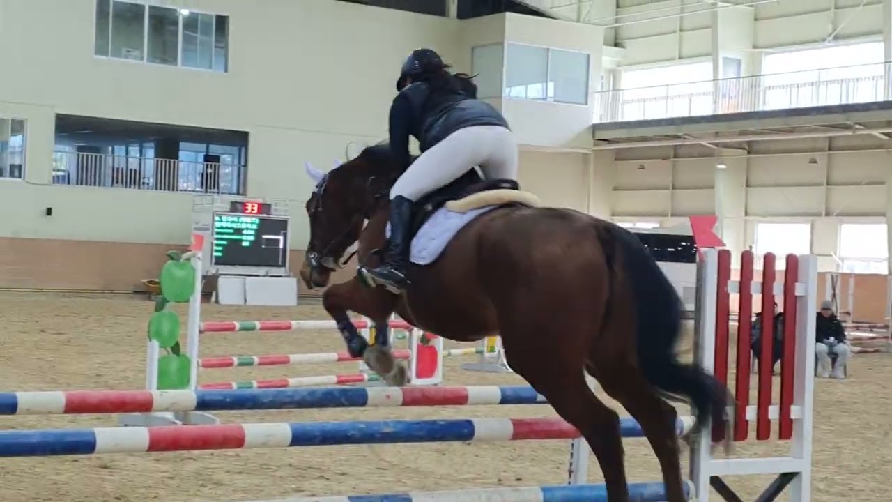 2026 Winter Schooling Show 105cm 첫도전 헤럴드 ♡ 진유미 ♡ 그랑프리