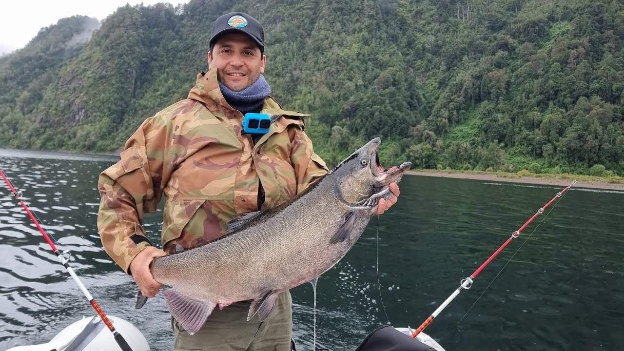 Salmones chinook Lago Maihue Temp 2022/23