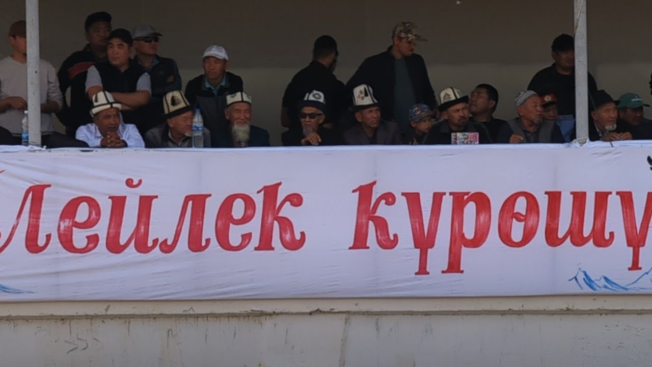 Лейлек күрөшү 2-бөлүм        Кулунду айылы  29.09.2024.
