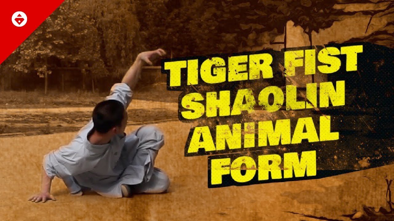 Shaolin Tiger Fist  虎拳 [Hǔ Qu&aacute;n] | Shaolin Kung Fu TIGER STYLE