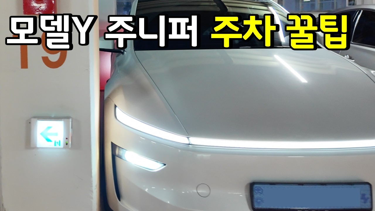 모델Y 문콕 안당하고 매너주차 쉽게하는 방법