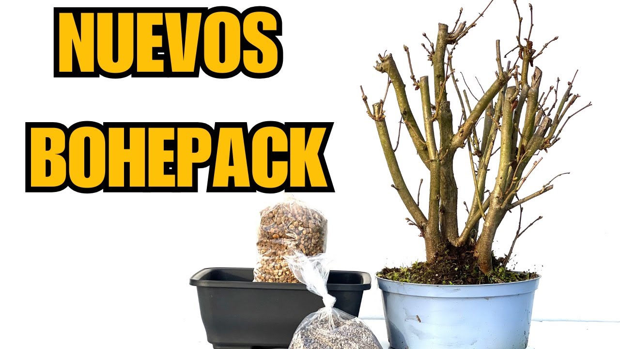 Nuevos BohePack disponibles ya en la web