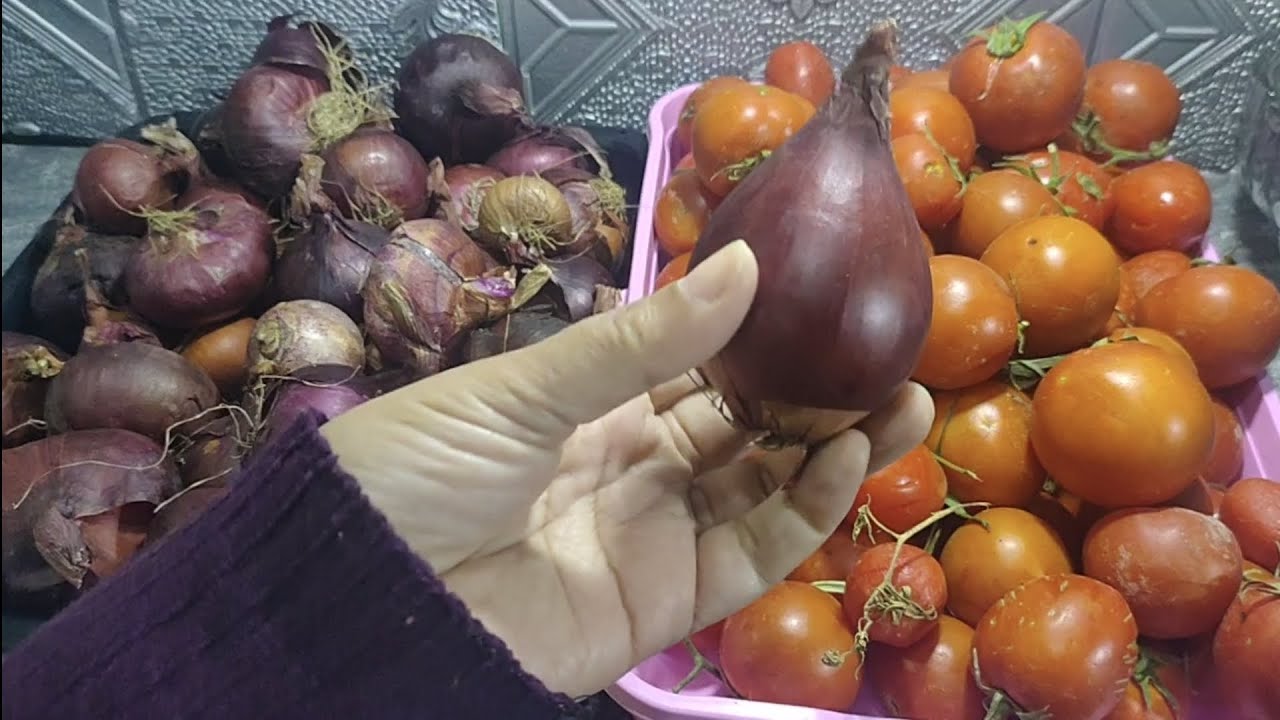 الحقي وشوفي ايه اللي ناقصك وهاتيه هقولك جبت ايه تعبيه وبكام وجيبت ايه نقاوة وبكام