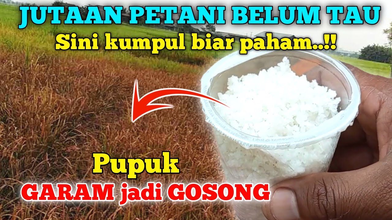 JANGAN MAU DI BODOHI..!! Jutaan PETANI belum tau ini..??