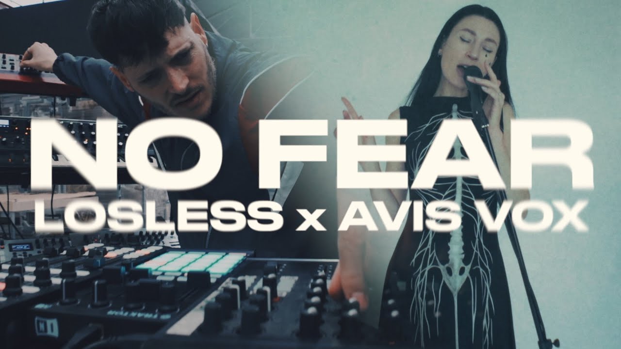 Losless, Avis Vox - No Fear (Live Session) [REALM]