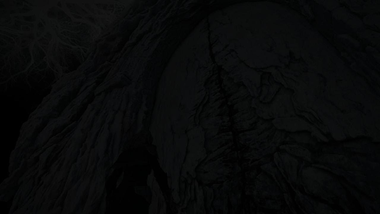 Elden Ring Nightreign Executor vs Everdark Libra