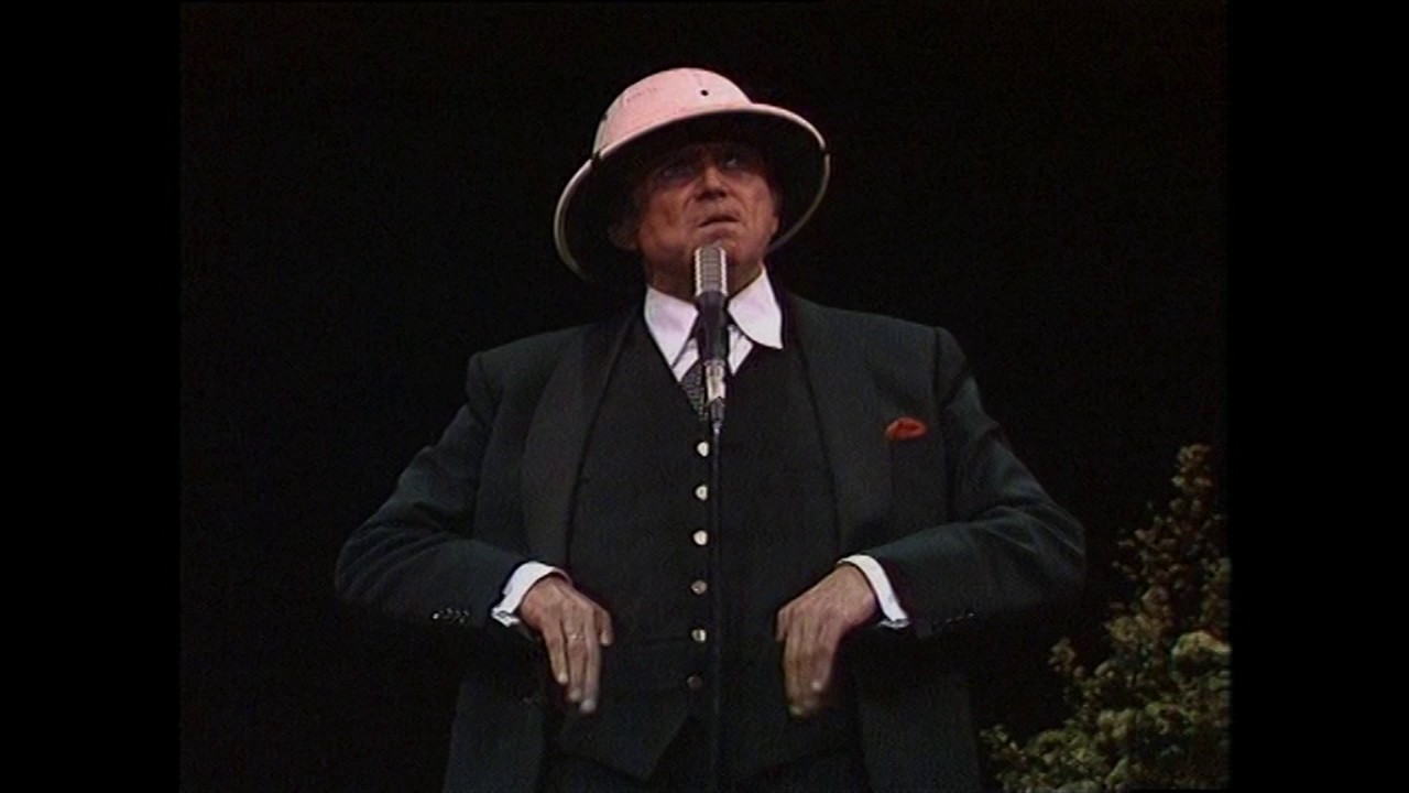 Toon Hermans - One Man Show 1980 - De ornitholoog