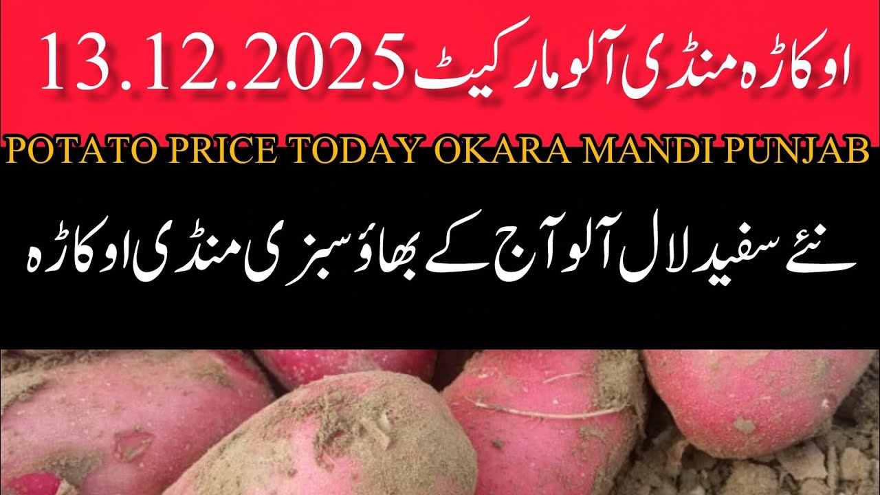 Potato mandi rate aalu mandi rate sabzi mandi okara today rates okara mandi Punjab 13.12.2025