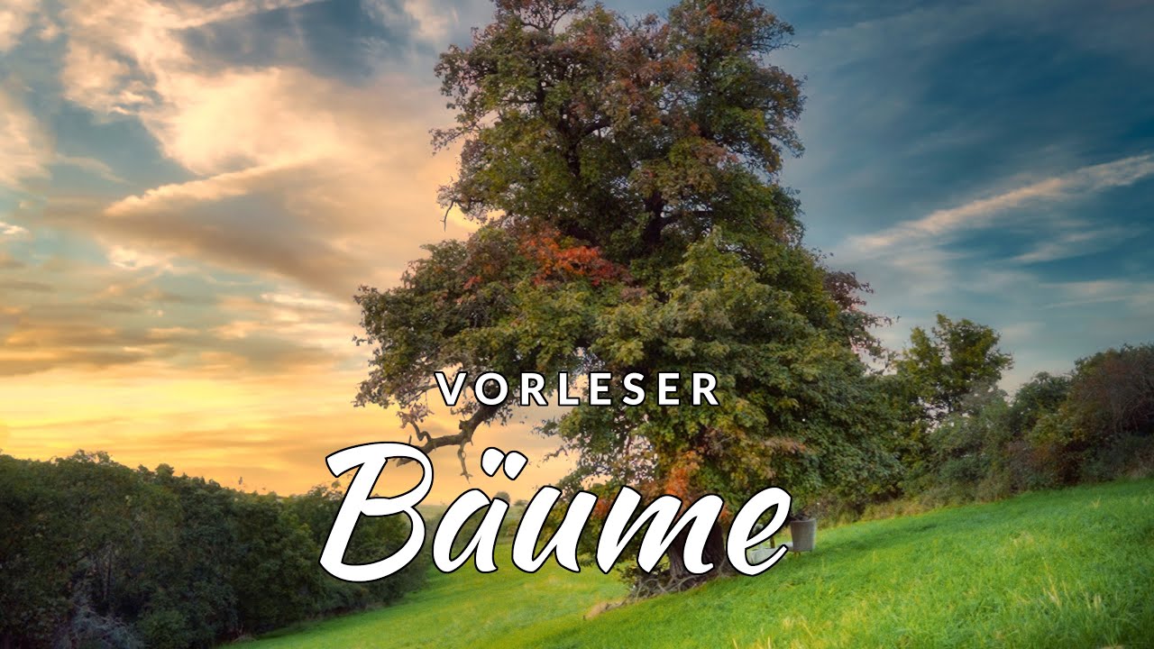 BÄUME - HERMANN HESSE