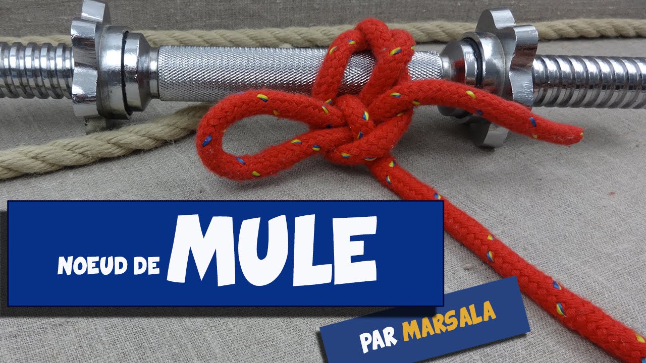 Noeud de Mule #Noeud d'Amarrage