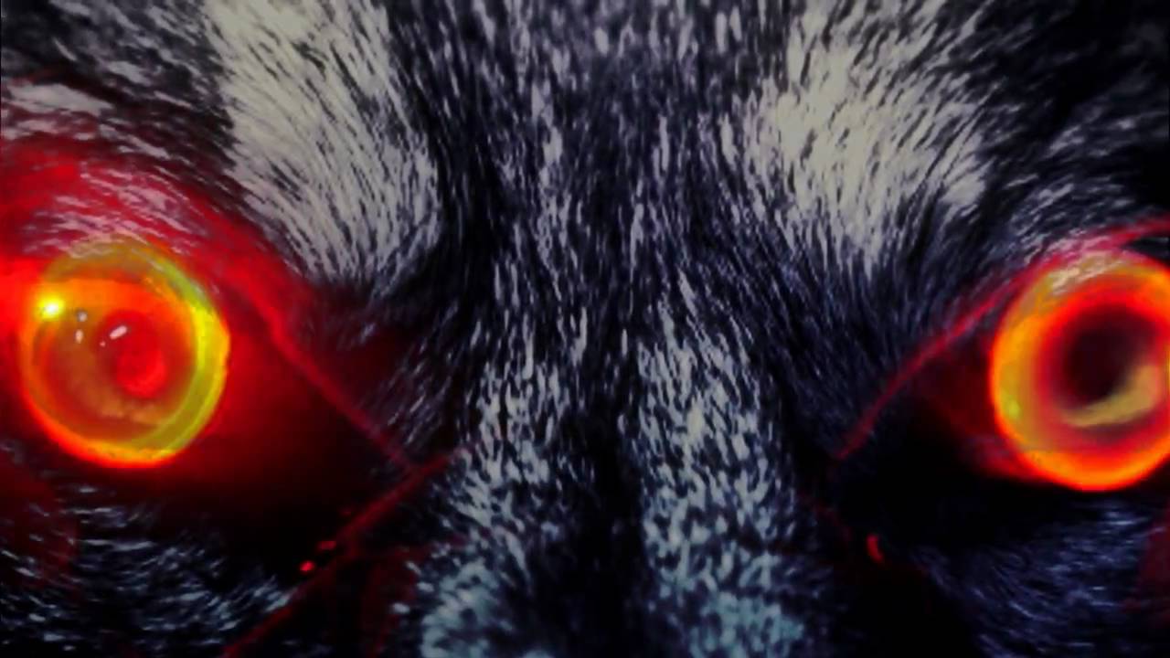 The Werewolf | FR SkyRRoZ | By Slidewayz | MY BEST MW2 SNIPER MONTAGE