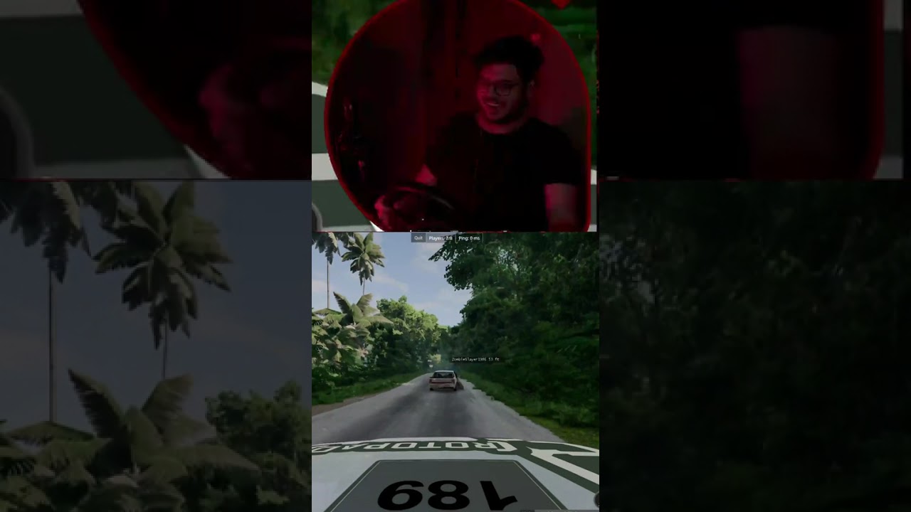 BeamNG Physics Said: Skill Issue