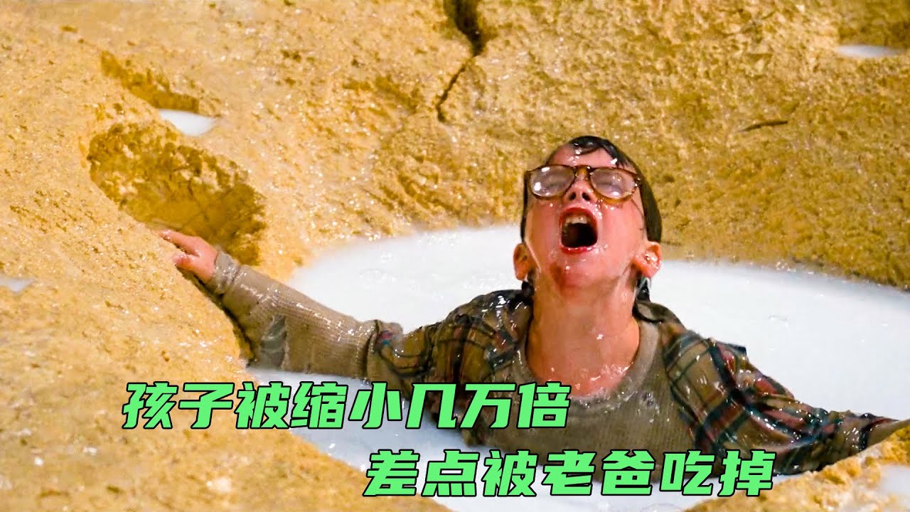 小男孩被意外缩小几万倍，把小蜜蜂当成飞机，抓小蚂蚁当坐骑