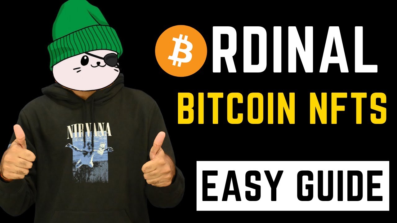 A Beginner Guide on Bitcoin Ordinal NFTs