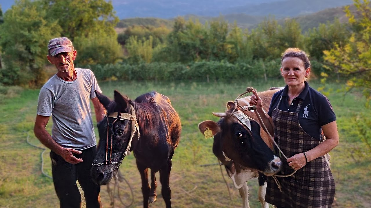 A Day in the Life of a Villager | LIFE IN AN ALBANIAN VILLAGE !